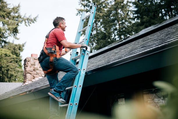 Best Gutter Installation and Repair  in Moss Bluff, LA